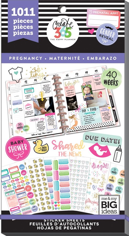 Pregnancy — cover