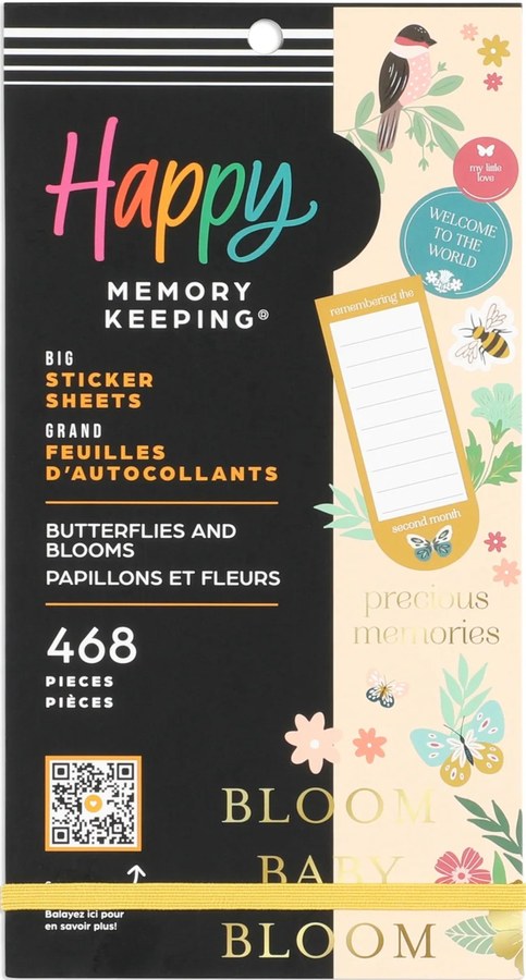 Butterflies and Blooms Baby - Big — cover